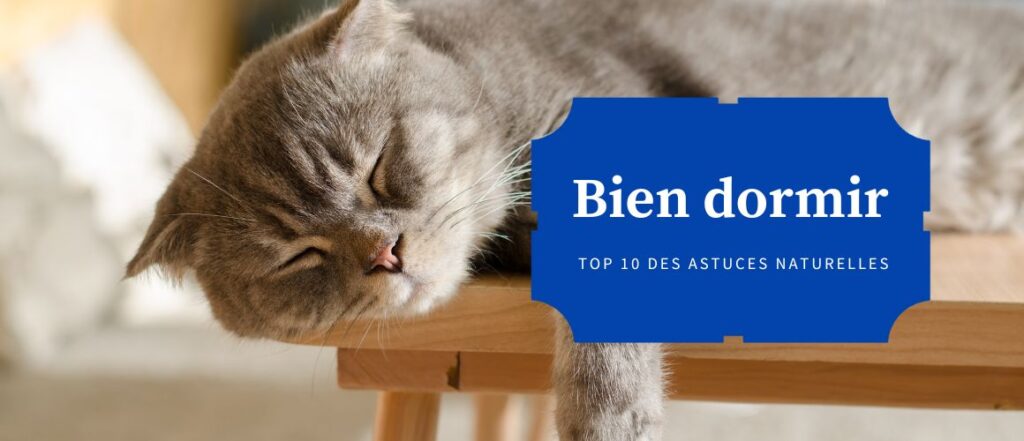 Lire la suite à propos de l’article Mon Top 10 des astuces naturelles pour bien dormir