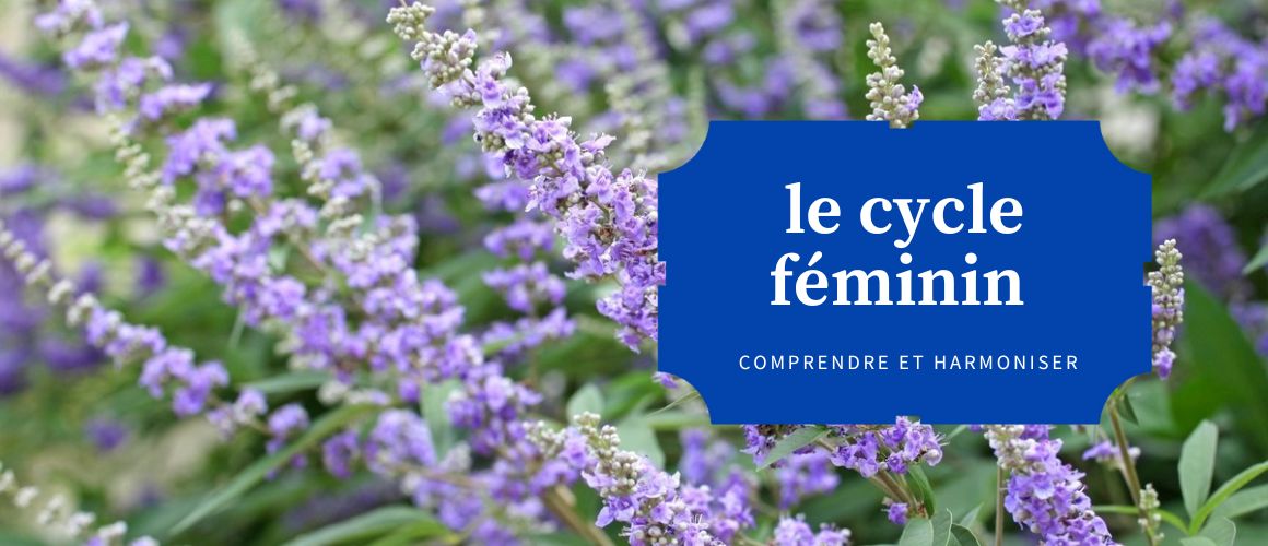 You are currently viewing Comprendre et harmoniser le cycle féminin grâce à la naturopathie.